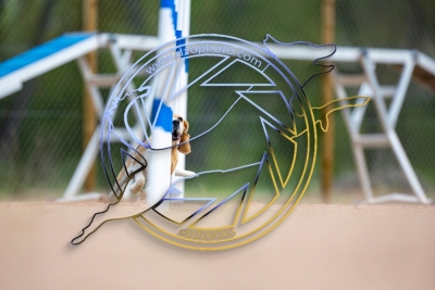 OS120425-5771