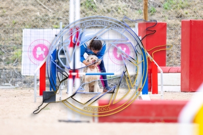 OS130425-7391