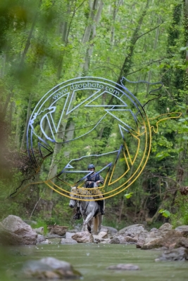 TREC020525h-1233