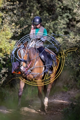 TREC020525h-2104
