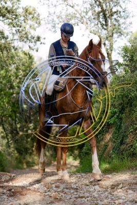 TREC020525h-161