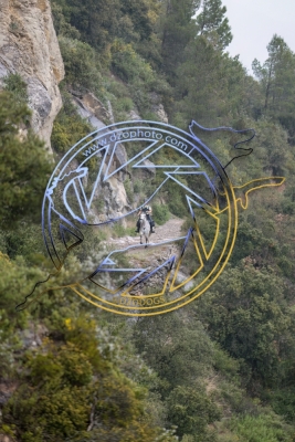 TREC020525h-3244