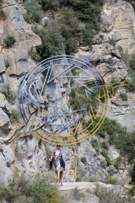 TREC020525h-4452