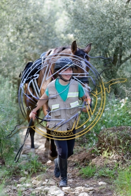 TREC020525h-4529
