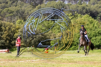 TREC030525R6-7781