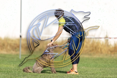 3__2346
