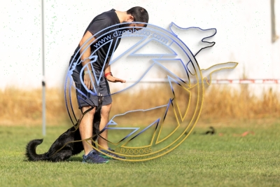 3__2568
