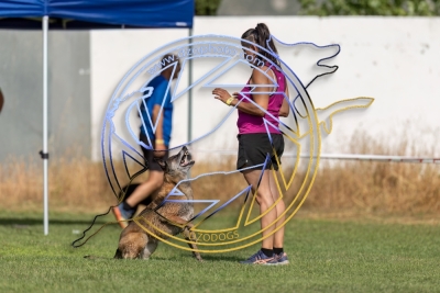 3__2773