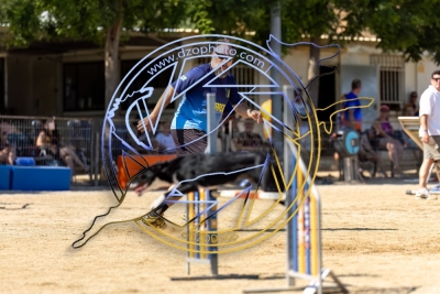 BD280725G1-1015