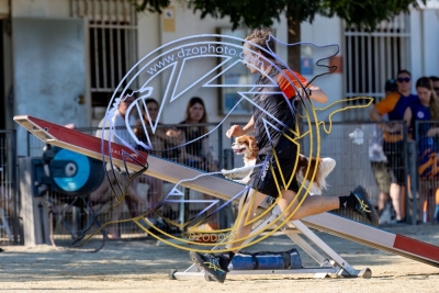 BD280725G1-2293
