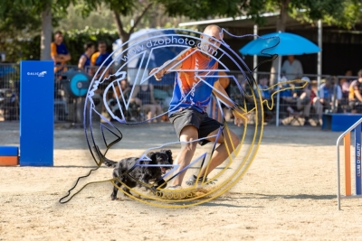 BD280725G1-2347