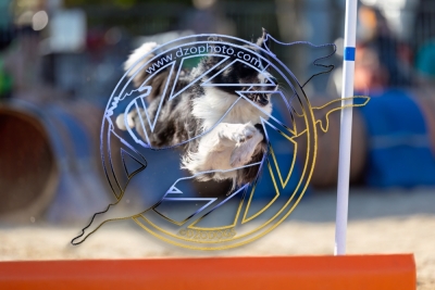 BD280725G1-3136
