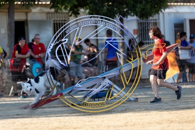 BD280725G1-3382