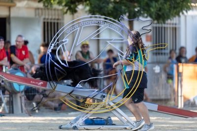 BD280725G1-3570