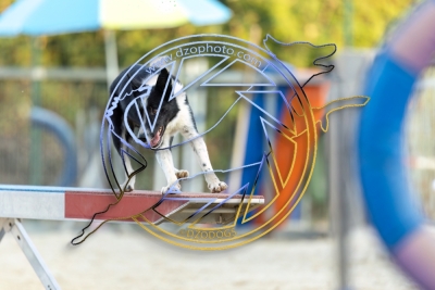 BD280725G2-852