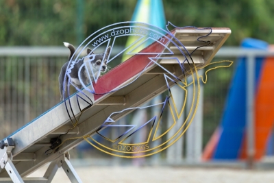 BD280725G2-959