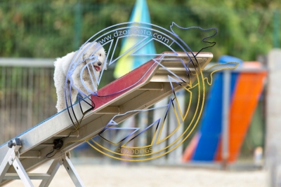 BD280725G2-1096