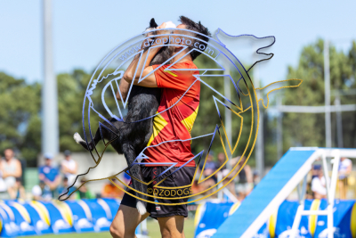 EO2007FLarge-1212