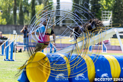 BCC2707-2263